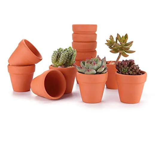 T4U Vaso Terracotta in Argilla Rosso 5CM Argilla Set di 12, Vaso per Piante in Miniatura F...