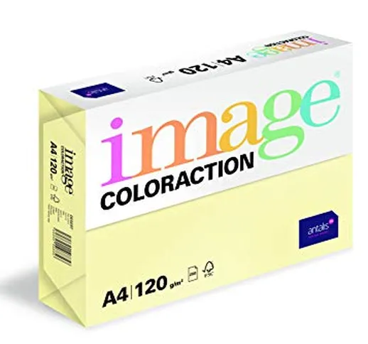 Coloraction 838A 120S 4 Antalis DIN A4, 120 gr/mq- Carta per fotocopie, colore: Giallo des...