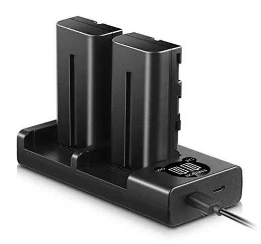 ENEGON NP-F550 Batteria sostitutiva (2 pezzi) e caricabatterie Dual USB intelligente per N...