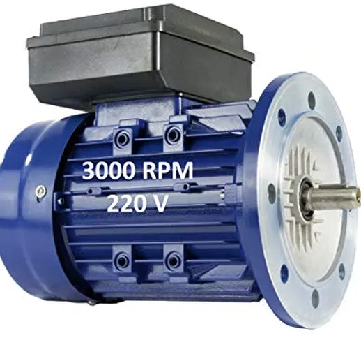 Motore elettrico monofase 0,75 KW/1 CV 220 V 3000 RPM B5 (flangia 200 mm) Dimensioni 80 -...