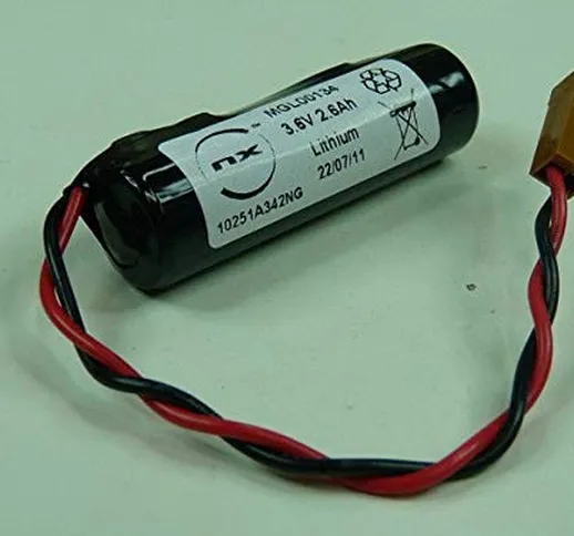 NX - Batteria al Litio LS14500 AA 3.6V 2600mAh JAE