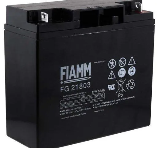 Fiamm Batteria Serie FG 12V Alimentazione di emergenza UPS Collegamento Faston 187 piatta...