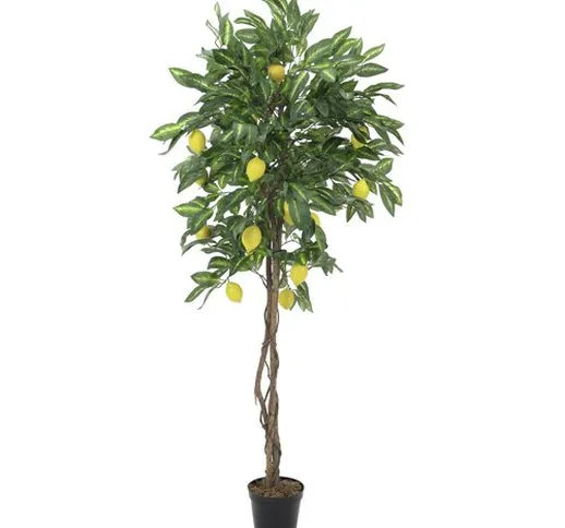 Europalms 180 cm Lemon Tree, Giallo