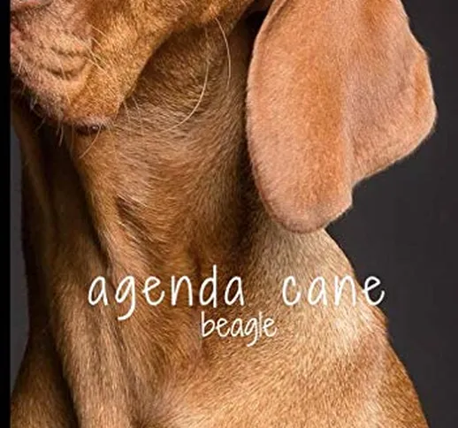 agenda2020 cane beagle : Agenda Giornaliera 2020 tascabile 7x9 inch - un Giorno per Pagina...