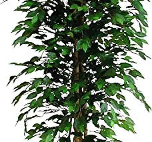 Ficus Benjamin Verde Pianta Finta Albero Artificiale da Arredo Interno con Tronco Vero Alt...