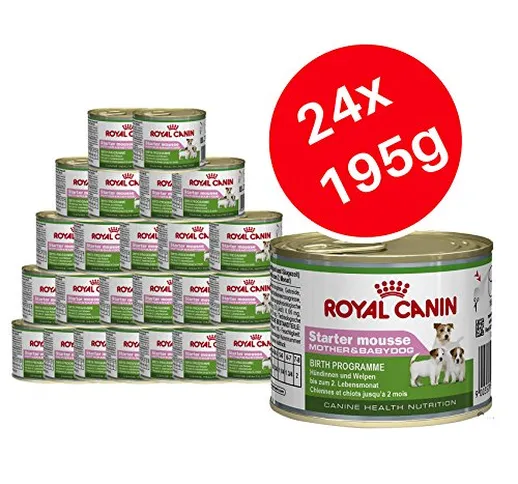 Royal Canin - Starter mousse, cibo per cuccioli e mamme, per cani, 24 scatolette da 195 g
