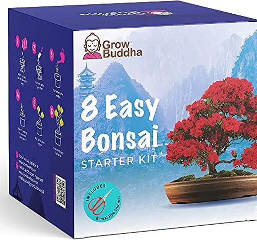 Bonsai Tree Kit | Grow your own 8 beautiful bonsai varieties at home| Complete growing kit...