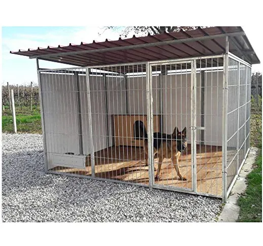 Box per Cani Singolo da Esterno in Rete con Copertura Zincatura a Caldo Dimensioni 300 x 3...