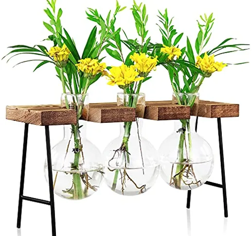 LESES Stazione di propagazione delle piante, vaso di vetro da tavolo con supporto in legno...