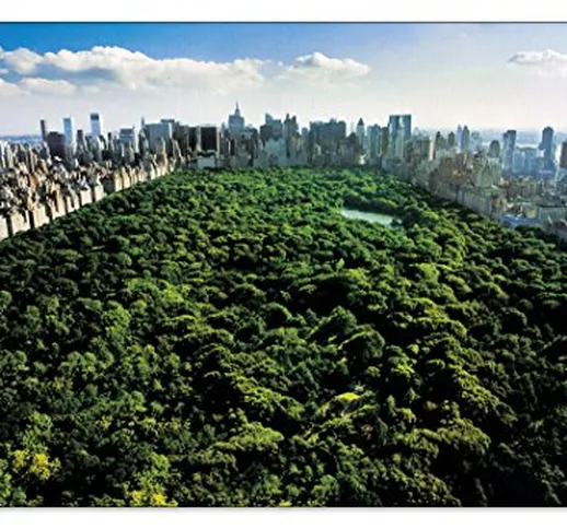 Artopweb Pannelli Decorativi New York Central Park Quadro, Legno, Multicolore, 90x1.8x60 c...