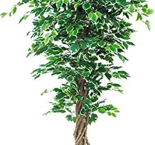 Ficus Elegance Benjamin Variegato - Albero Artificiale Da Arredo Interno Con Tronco Vero L...