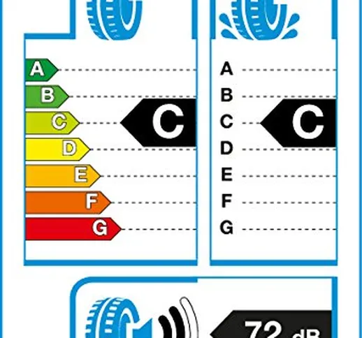 Pneumatici Delinte Aw5 205/50 R17 93W 4 stagioni