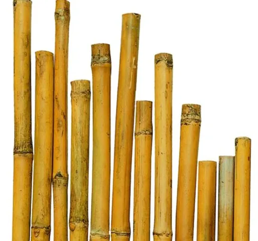 N° 50 Canne Bamboo Bambù cm 150 x Ø mm 20-22 Per piante,agricoltura,orto,arredi,strutture,...