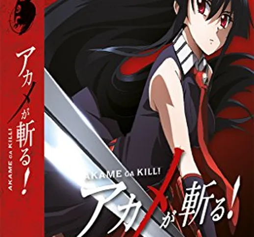 Akame ga Kill - Box 1 [2 DVDs]