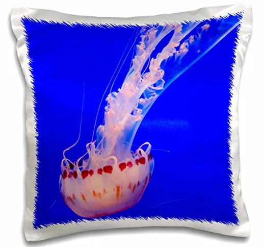 Danita Delimont - Marine Life - Monterey Bay Aquarium - Jellyfish - 16x16 inch Pillow Case...