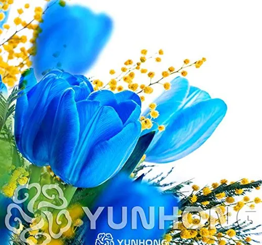 Petsdelite Bulbi di tulipani blu (non tulipano bonsai), 5 pezzi di bulbiÂ