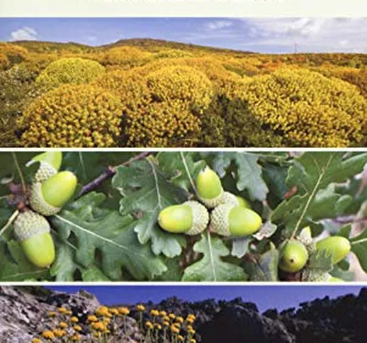Alberi, arbusti e erbe della Sardegna. Ediz. illustrata