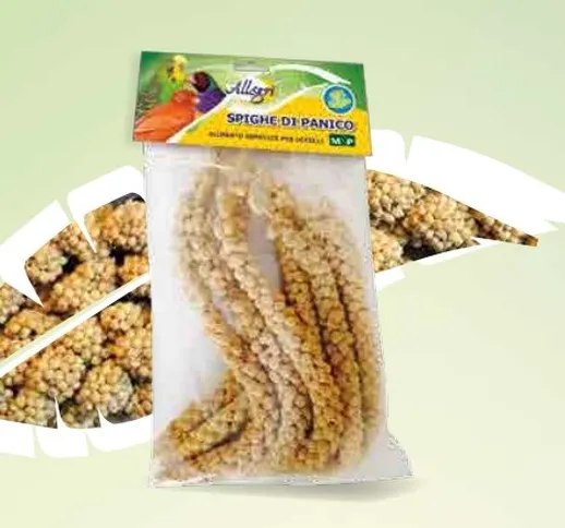 Semi per Uccelli Spighe di panico Toscano Uccello Canarino Cocorite - 250 gr