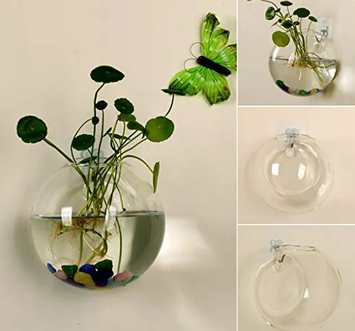 Youliy - Vaso in vetro da appendere alla parete, 12 cm, coltura idroponica, terrario, acqu...
