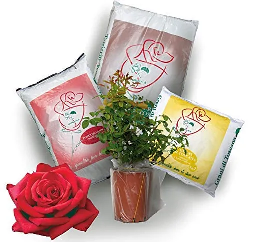 Kit Pronto Trapianto per rosa in vaso Rose Barni®, completo di terriccio, concime e stalla...