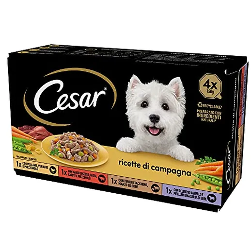 Cesar Ricette di Campagna Cibo per Cane, Selezione Assortita, 150 G, 24 Vaschette - 3600 g