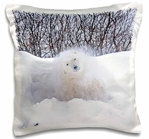 Danita Delimont - Bears - Canada, MB, Churchill. Polar bear shaking snow off on frozen tun...