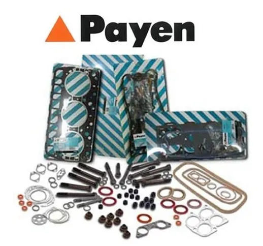 PAYEN AE ITALIA GPCE5242 Payen Guarnizioni