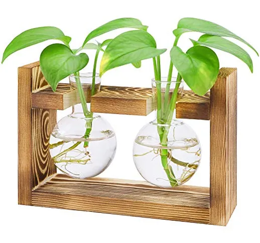 Hydroponic - Vaso in vetro trasparente, con supporto in legno vintage, per piante e intern...