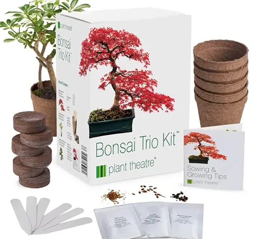 Plant Theatre - Bonsai Trio, Kit per la Coltivazione di 3 Bonsai