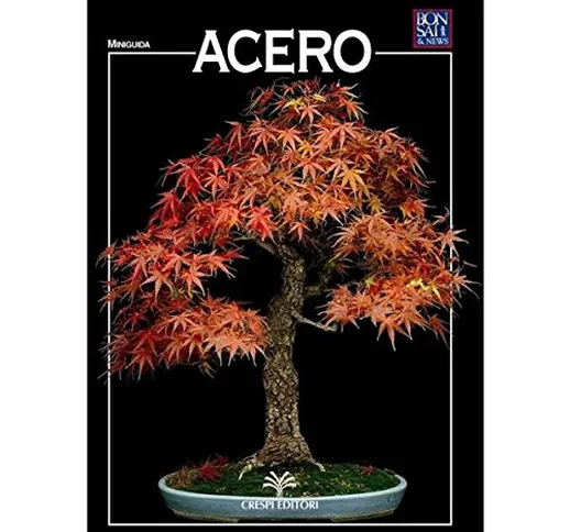 Acero