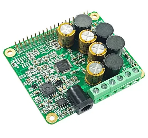 RPI HiFi AMP HAT TAS5713 Amplifier Audio Module 25W Class-D Power Sound Card Expansion Boa...