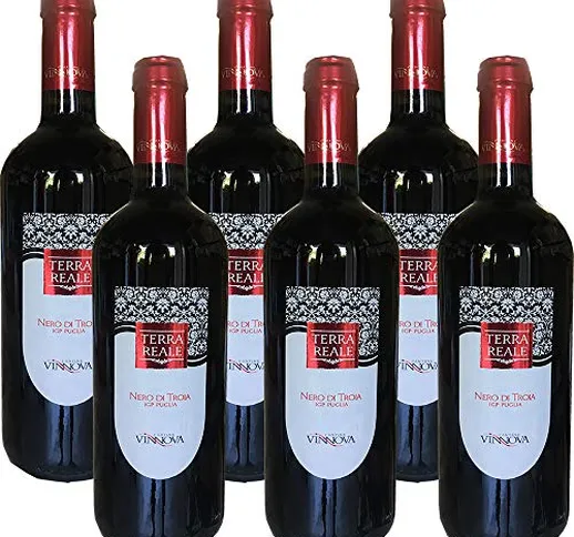 Nero di Troia Puglia IGP | Vino Rosso | Cantine Vin Nova | 6 Bottiglie 75Cl | Idea Regalo