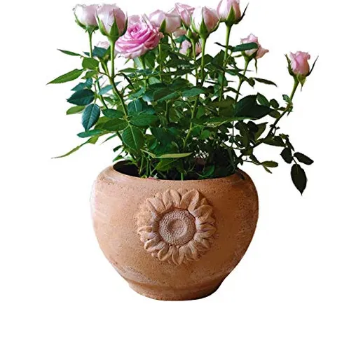 Vaso fioriera in terracotta per fiori, orchidee, piante grasse e aromatiche, peperoncino,...