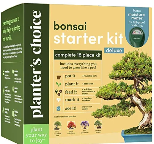 Kit per coltivazione di bonsai – Grow 4 alberi bonsai interni – Pianta un giardino da semi...