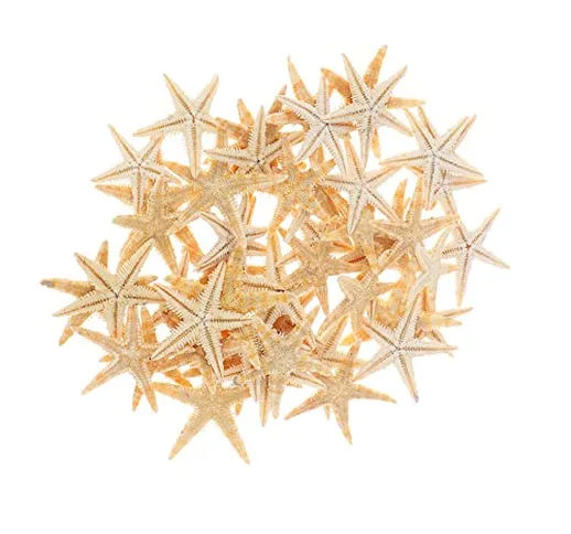 SKYPRO 100 stelle marine marine naturali, 3-5 cm, perfette per decorazioni per feste, deco...