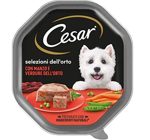 Cesar Selezioni dell'Orto Cibo per Cane con Manzo e Verdure dell'orto 150 g - 14 Vaschette