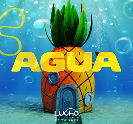 Agua (Remix)