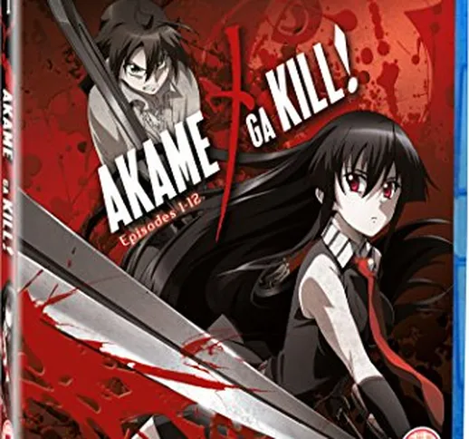 Akame Ga Kill - Collection 1 [Edizione: Regno Unito] [Edizione: Regno Unito]