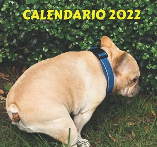 Cani Che Cagano Calendario 2022: Regalo Divertente Per Gli Amanti Dei Cani