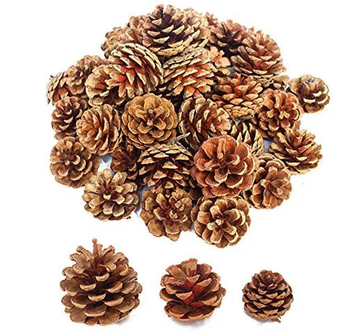 Lifreer - Set di 30 pigne essiccate naturali per albero di Natale, decorazione da appender...