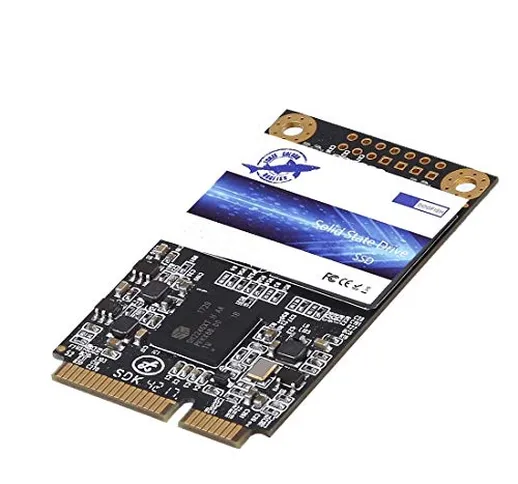 Dogfish Msata SSD 64GB unità a Stato Solido Interne Drive Hard Disk Internal Solid State D...