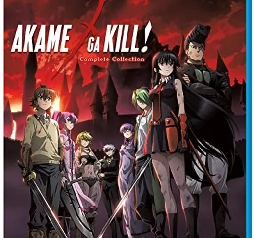 Akame Ga Kill: Complete Collection (3 Blu-Ray) [Edizione: Stati Uniti]