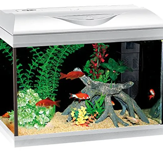 Wave A2001615 Acquario Riviera 40 LED Coldwater