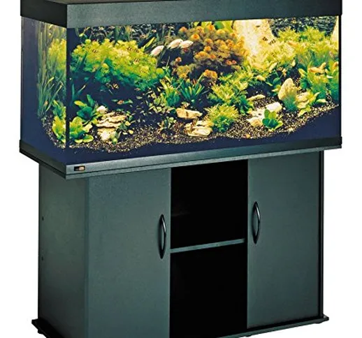 Juwel Aquarien Rio 300 acquario 350 litri