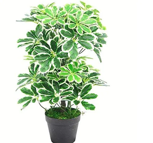 Schefflera arboricola artificiale (pianta ombrello), in vaso di plastica nero, fogliame ch...