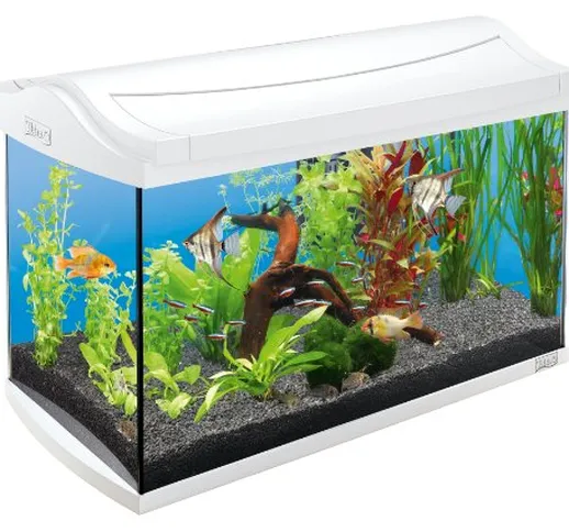 Tetra AquaartNeon Acquario, 60 L, Bianco