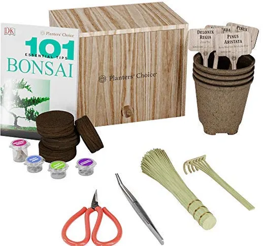 Kit Premium per Coltivare Bonsai + Libretto con 101 Consigli Essenziali e Kit di Attrezzi...