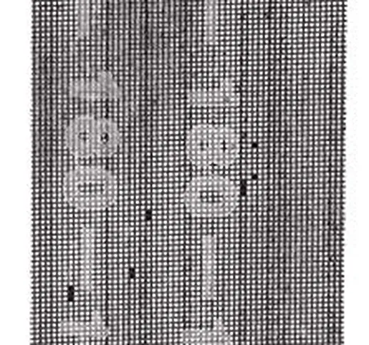 KWB griglia lino spatola e Gipkarton, 93 x 230 mm, 851 – 180
