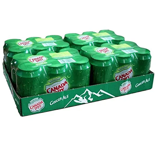 Canada Dry 33cl (pack de 24) ginger ale bibita allo zenzero soda