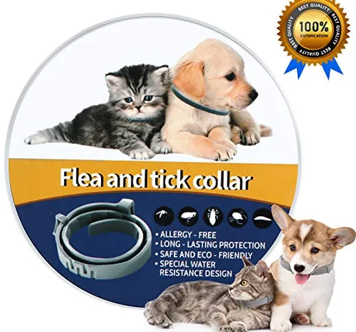 QcoQce Collare Antipulci per Cane e Gatto, 60cm Collare Antiparassitario Antizecche Regola...